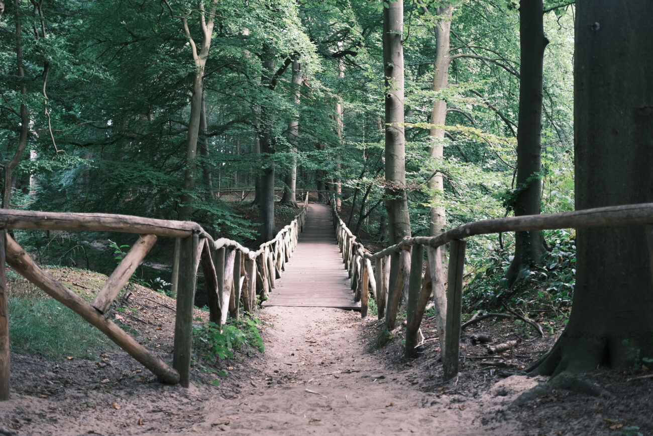 Overveen, The Netherlands (2021) Fujifilm X-E4 with Classic Negative simulation