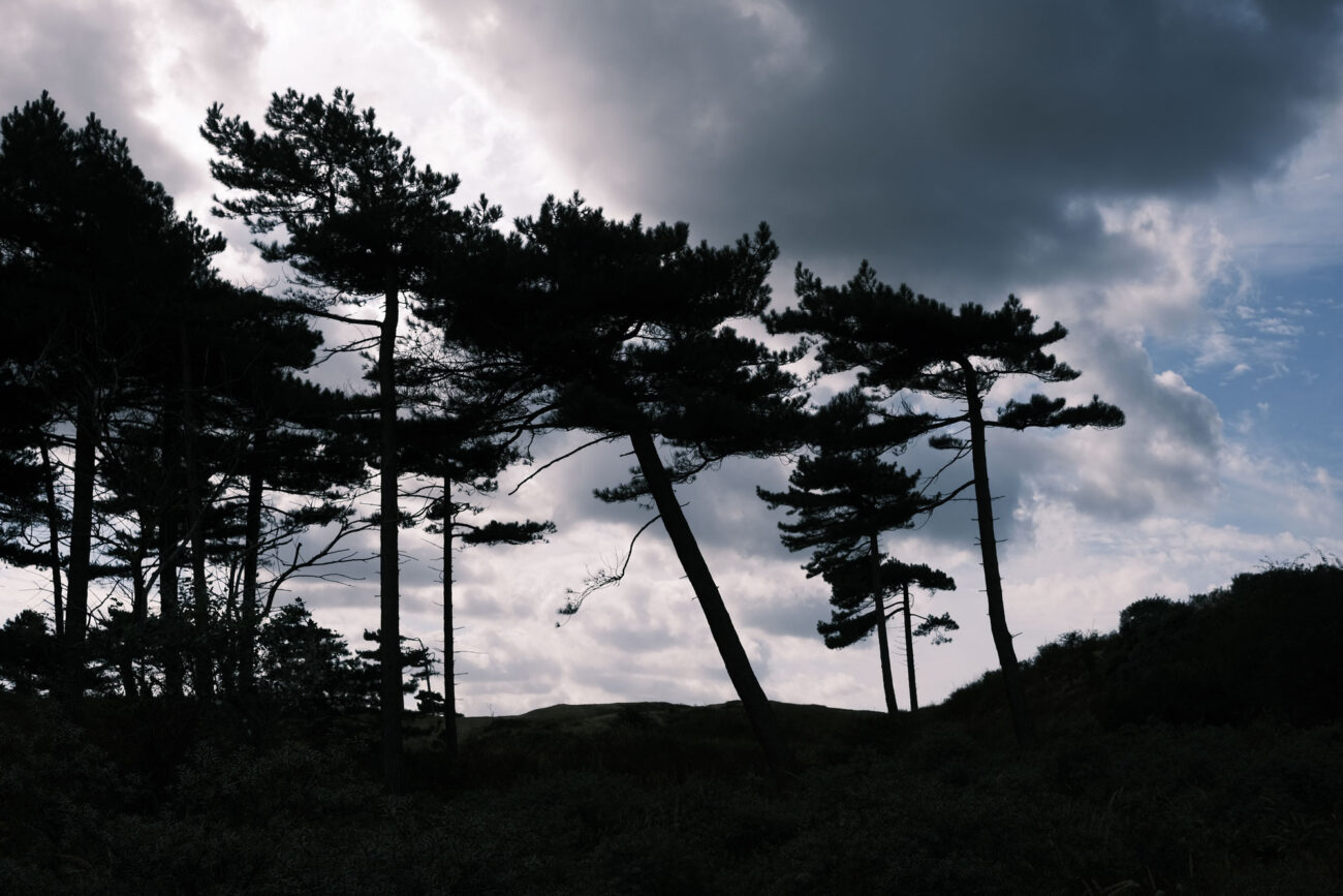 Bloemendaal, The Netherlands (2021) Fujifilm X-E4 with Classic Negative simulation